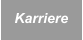 Karriere