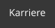 Karriere